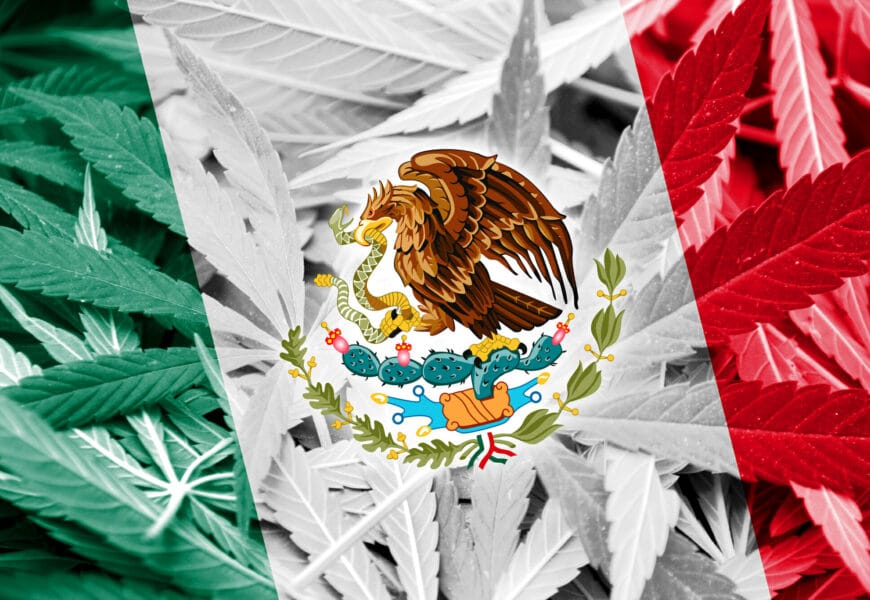 Avanza en México la legalización de la marihuana recreativa |